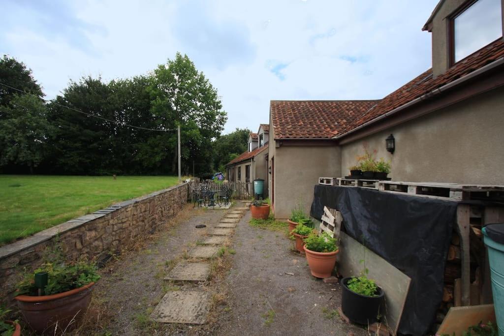 A Nicely Presented Friendly Comfortable Eco Cottage Thornbury  Exterior foto